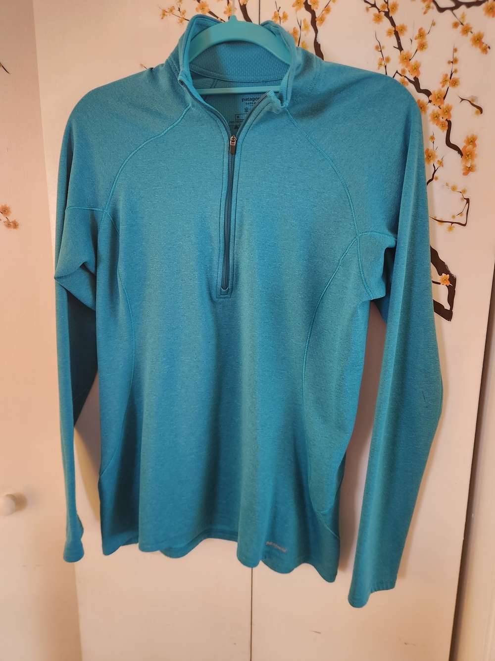 Patagonia Men's Zip-Neck Pullover in Teal